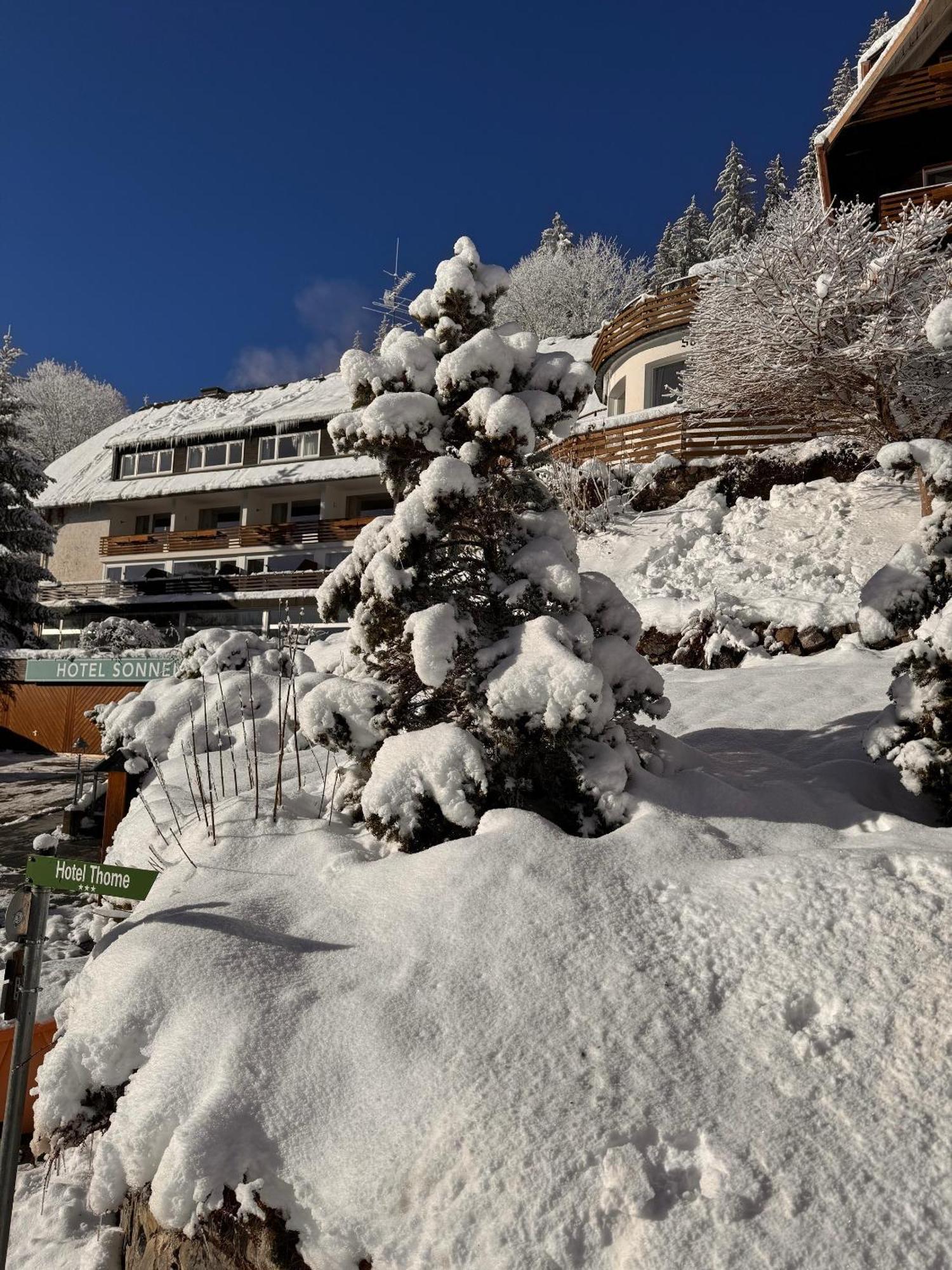 Hotel Sonnenberg Garni Hinterzarten Exterior photo